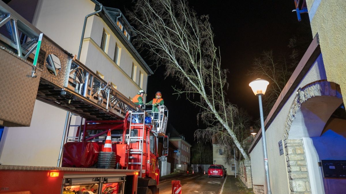 In der Musäusstraße in Weimar drohte, eine rund 17 Meter hohe Pappel in ein Wohnhaus zu kippen. 