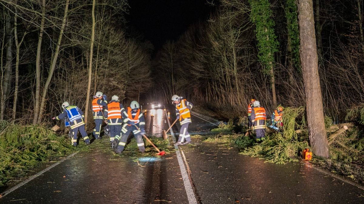 Mit Kettensägen wurde die Fahrbahn befreit. 