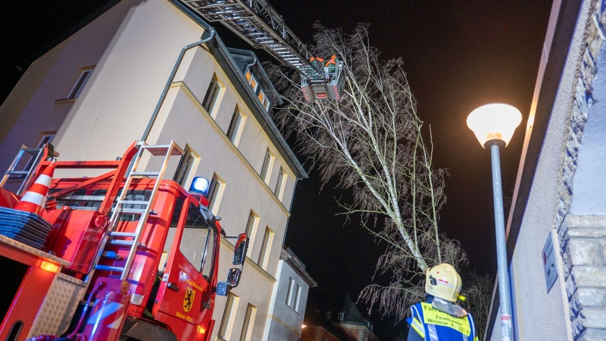 Personen wurden nicht verletzt. 