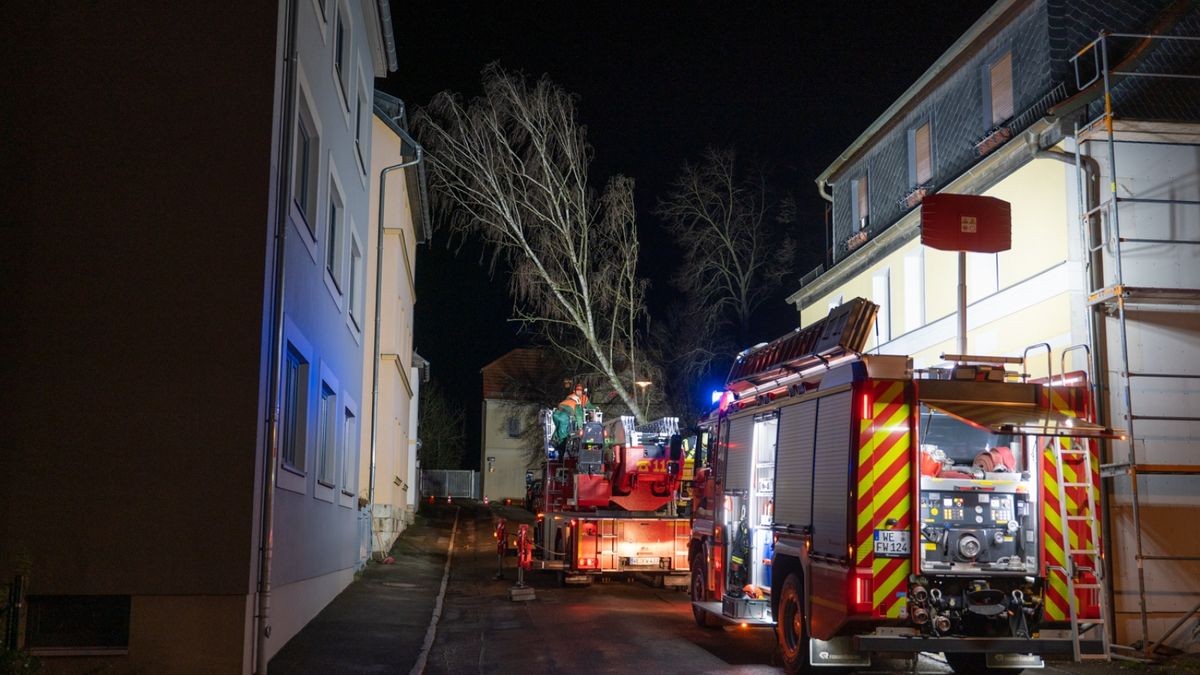 In der Musäusstraße in Weimar drohte, eine rund 17 Meter hohe Pappel in ein Wohnhaus zu kippen. 