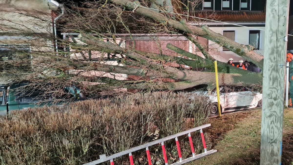 Der Sturm brachte am Freitag gegen 21:00 Uhr einen Baum dessen Wurzel morsch war, zum umstürzen. 