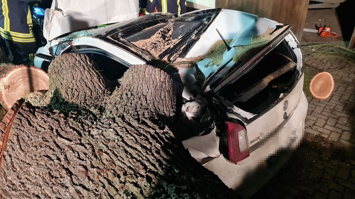 Ein umgestürzter Baum zerstört zwei Autos in der Kleinwechsunger Hauptstraße.