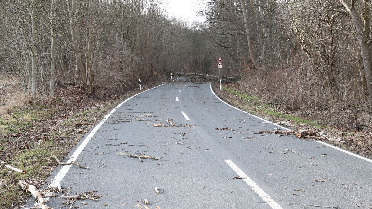 Trotz der Vollsperrung umfuhren viele Autofahrer die Absperrungen.