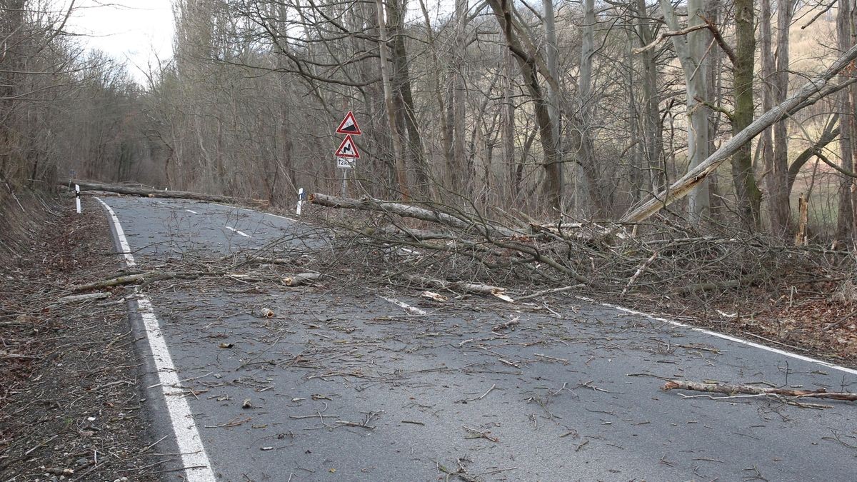 Mehrere große Äste und komplett abgebrochene Bäume blockierten die Straße.