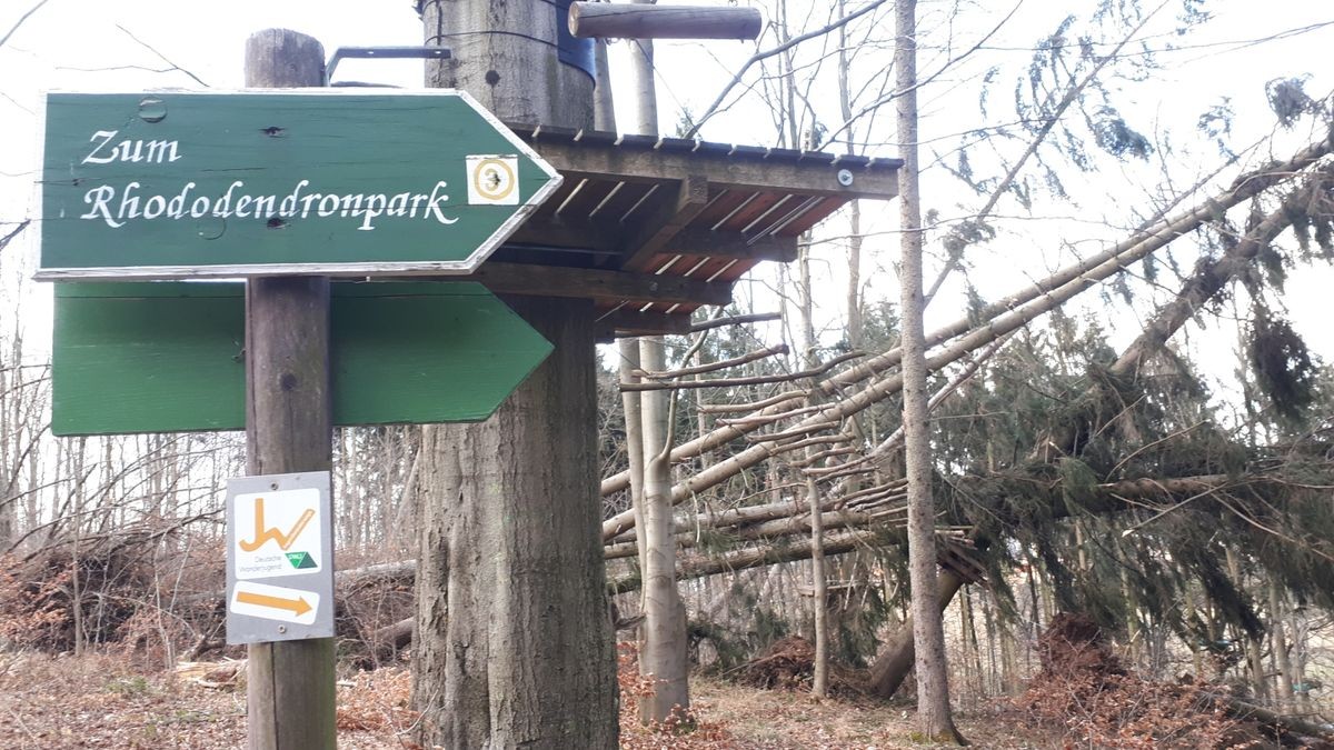 Die Februar-Stürme haben durch umgestürzte Bäume den Kletterwald am Datenberg in Bad Tabarz schwer beschädigt. Derzeit ist noch nicht klar, ob die Attraktion, die eigentlich am 26. März in die neue Saison starten sollte, überhaupt wieder aufgebaut werden kann. Betreiber Danny Luderer hat zudem in seinem zweiten Kletterwald in Hohenfelden Sturmschäden zu verzeichnen.