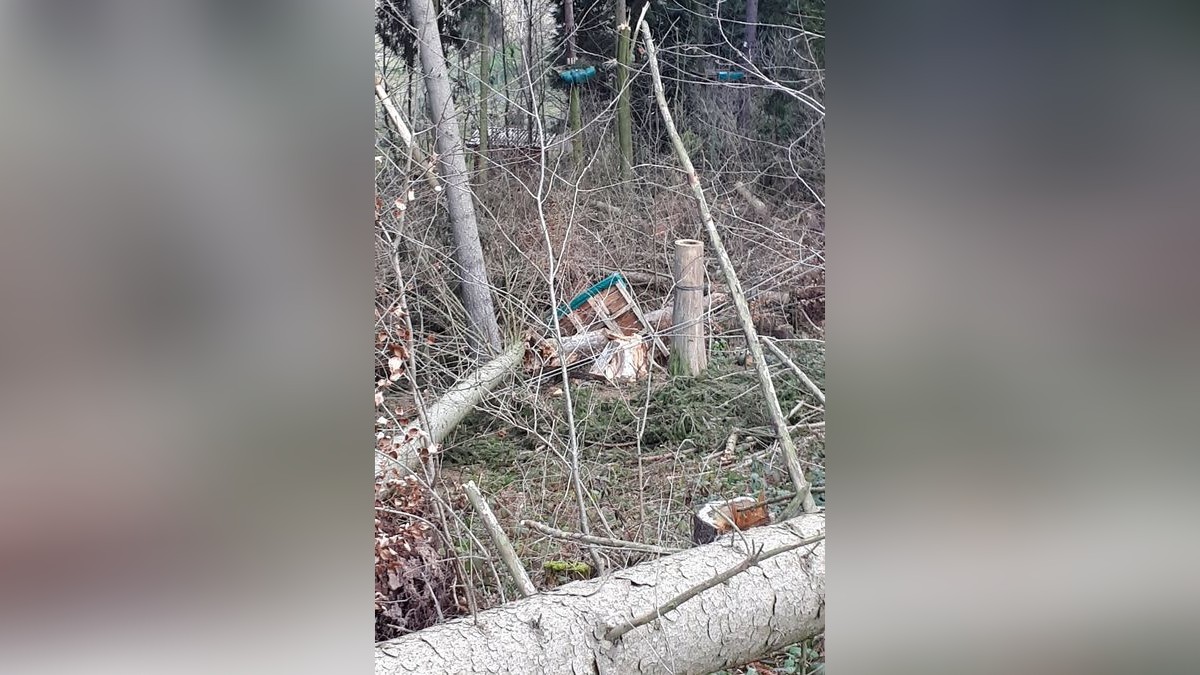 Die Februar-Stürme haben durch umgestürzte Bäume den Kletterwald am Datenberg in Bad Tabarz schwer beschädigt. Derzeit ist noch nicht klar, ob die Attraktion, die eigentlich am 26. März in die neue Saison starten sollte, überhaupt wieder aufgebaut werden kann. Betreiber Danny Luderer hat zudem in seinem zweiten Kletterwald in Hohenfelden Sturmschäden zu verzeichnen.