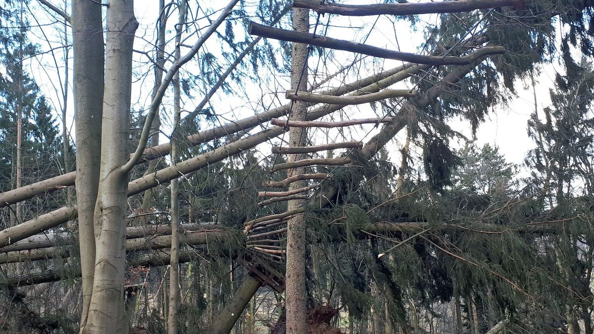 Die Februar-Stürme haben durch umgestürzte Bäume den Kletterwald am Datenberg in Bad Tabarz schwer beschädigt. Derzeit ist noch nicht klar, ob die Attraktion, die eigentlich am 26. März in die neue Saison starten sollte, überhaupt wieder aufgebaut werden kann. Betreiber Danny Luderer hat zudem in seinem zweiten Kletterwald in Hohenfelden Sturmschäden zu verzeichnen.