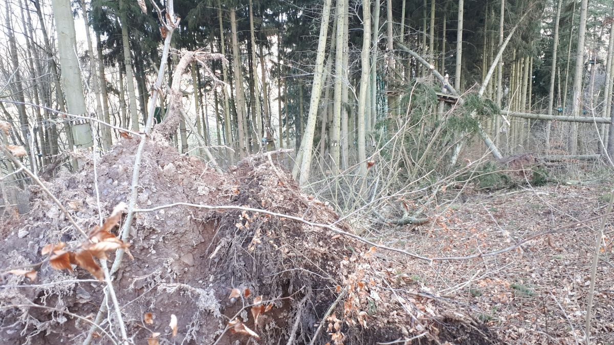 Die Februar-Stürme haben durch umgestürzte Bäume den Kletterwald am Datenberg in Bad Tabarz schwer beschädigt. Derzeit ist noch nicht klar, ob die Attraktion, die eigentlich am 26. März in die neue Saison starten sollte, überhaupt wieder aufgebaut werden kann. Betreiber Danny Luderer hat zudem in seinem zweiten Kletterwald in Hohenfelden Sturmschäden zu verzeichnen.