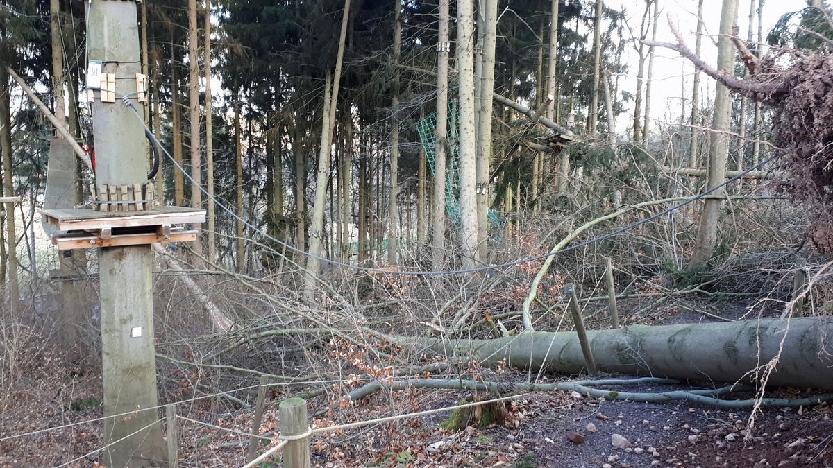 Die Februar-Stürme haben durch umgestürzte Bäume den Kletterwald am Datenberg in Bad Tabarz schwer beschädigt. Derzeit ist noch nicht klar, ob die Attraktion, die eigentlich am 26. März in die neue Saison starten sollte, überhaupt wieder aufgebaut werden kann. Betreiber Danny Luderer hat zudem in seinem zweiten Kletterwald in Hohenfelden Sturmschäden zu verzeichnen.