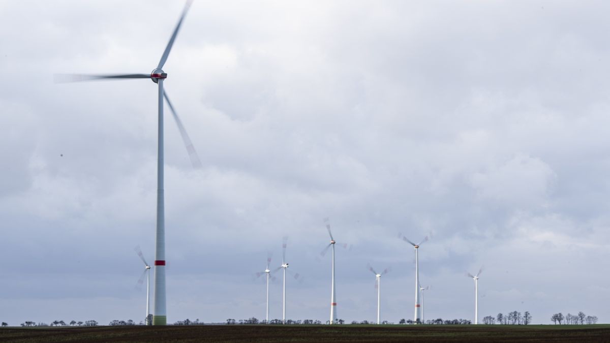 Nach Ansicht von Umweltministerin Anja Siegesmund (Grüne) muss Thüringen mehr Flächen für Windkraftanlagen ausweisen (Symbolbild).