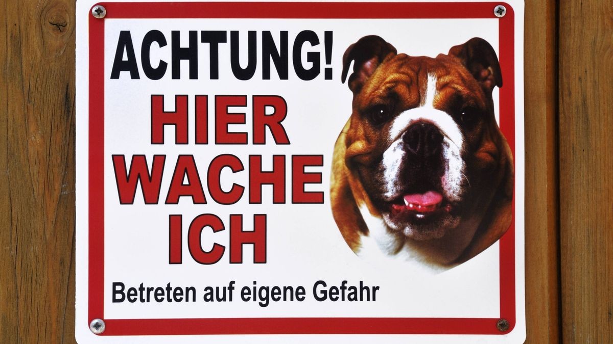 Die Spielfreude eines Hundes ist einem Paketzusteller in Windehausen zum Verhängnis geworden. Als der Besitzer des Tieres das Hoftor öffnete, nutzte der Hund die Gelegenheit und rannte auf der Straße zielgerichtet auf den Zusteller zu. Dieser ängstigte sich und lief weg. Der Hund sah das offensichtlich als Aufforderung zum Spielen an und sprang den 43-jährigen Mann an. Der Zusteller stürzte und verletzte sich dabei leicht. Der Hundehalter sperrte das Tier wieder ein.