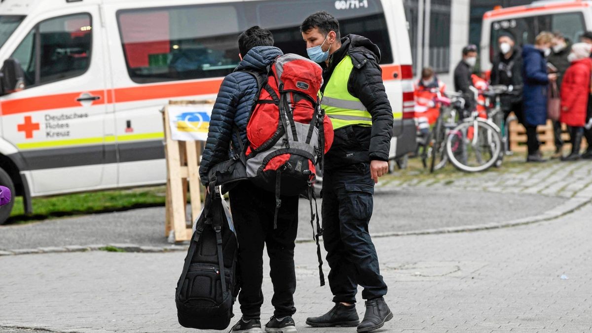 Immer mehr Flüchtlinge aus der Ukraine kommen derzeit in Deutschland an. 