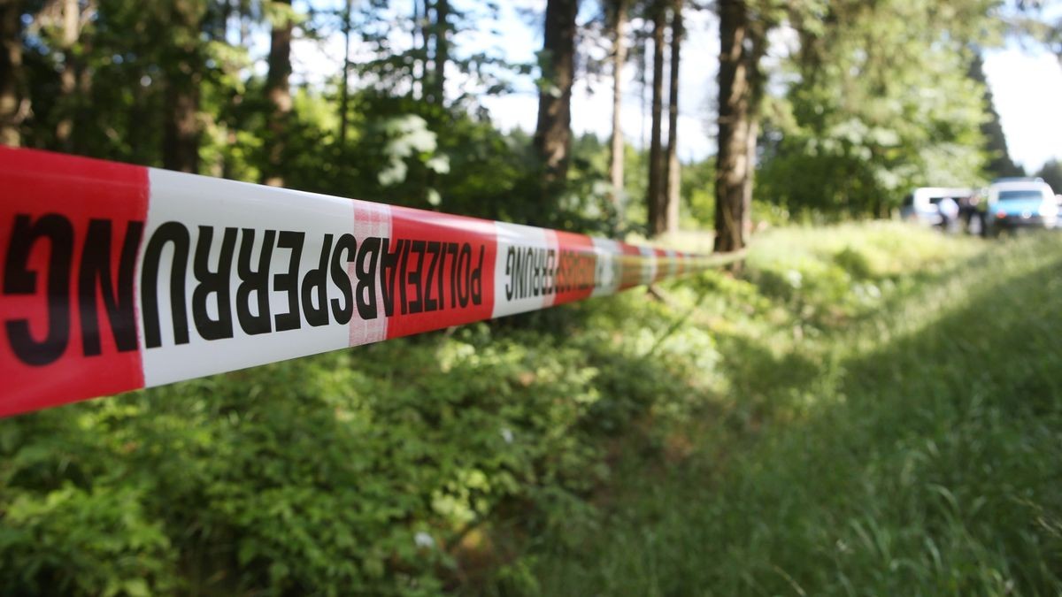 Ein Mitglied einer Thüringer Reisegruppe konnte nur noch tot in der Regnitz gefunden werden. (Symbolbild)