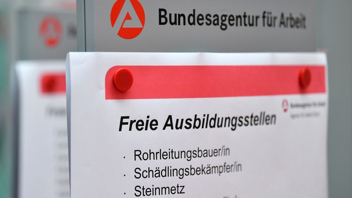 Für junge Menschen auf Lehrstellensuche eröffnet sich nach Ansicht des Chefs der Landesarbeitsagentur ein „Berufsausbildungsparadies“.