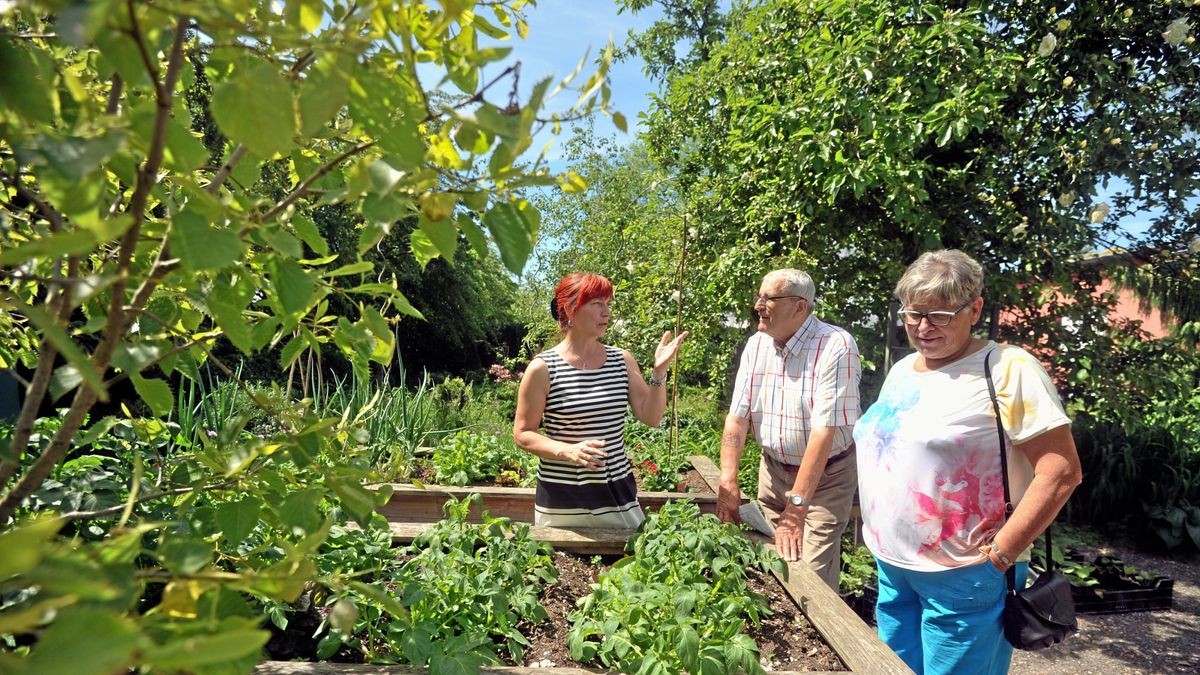 Annett Panknin beim letzten Tag der offenen Gärten 2019 in der Carolinenstraße Apolda.