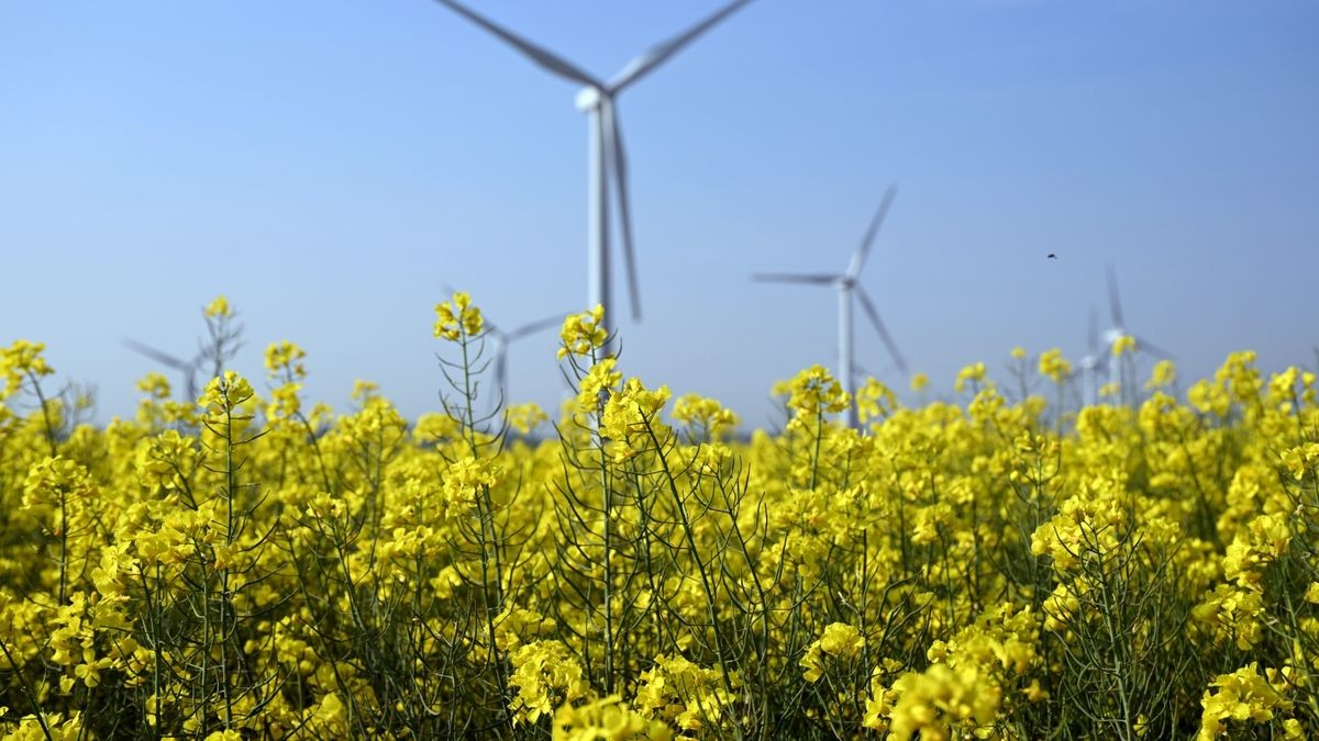 Ab Montag soll es laut den Prognosen des DWD sommerlich werden. 