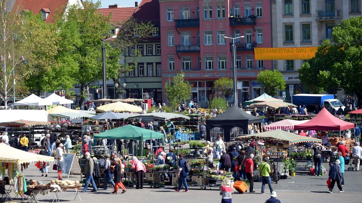 Am Freitag hat der Blumen- und Gartenmarkt 2022 auf dem Erfurter Domplatz eröffnet. Er geht bis Sonntag.