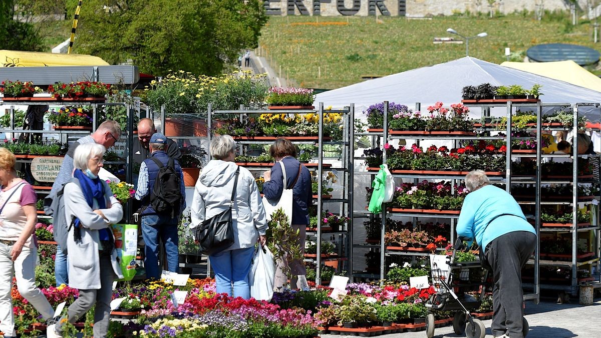 Am Freitag hat der Blumen- und Gartenmarkt 2022 auf dem Erfurter Domplatz eröffnet. Er geht bis Sonntag.