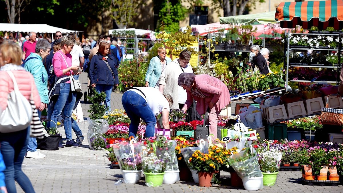 Am Freitag hat der Blumen- und Gartenmarkt 2022 auf dem Erfurter Domplatz eröffnet. Er geht bis Sonntag.