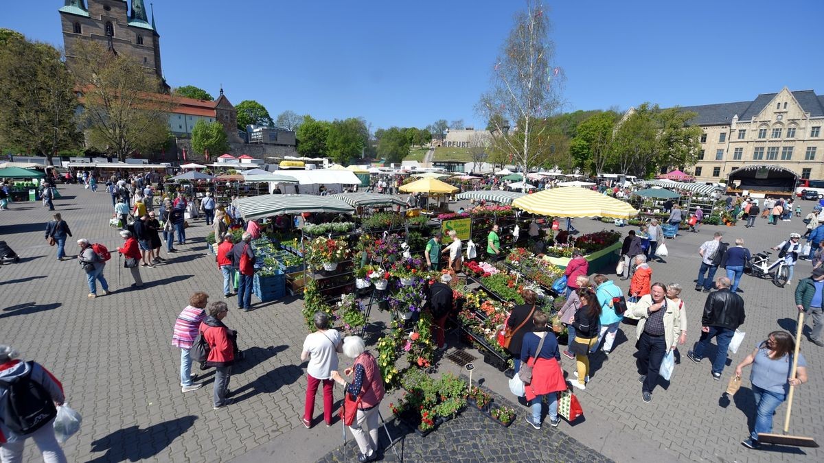 Am Freitag hat der Blumen- und Gartenmarkt 2022 auf dem Erfurter Domplatz eröffnet. Er geht bis Sonntag.