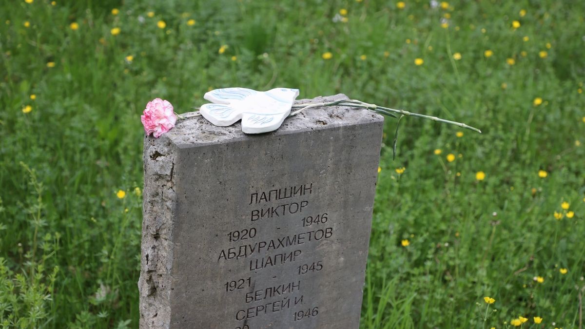 Eine Friedenstaube mit einer Blume liegt auf einem Grabstein auf dem sowjetischen Ehrenfriedhof im Park an der Ilm in Weimar. Hier wurden bei einer Gedenkveranstaltung 100 tönerne Friedenstauben auf Gräbern sowjetischer Soldaten niedergelegt. 