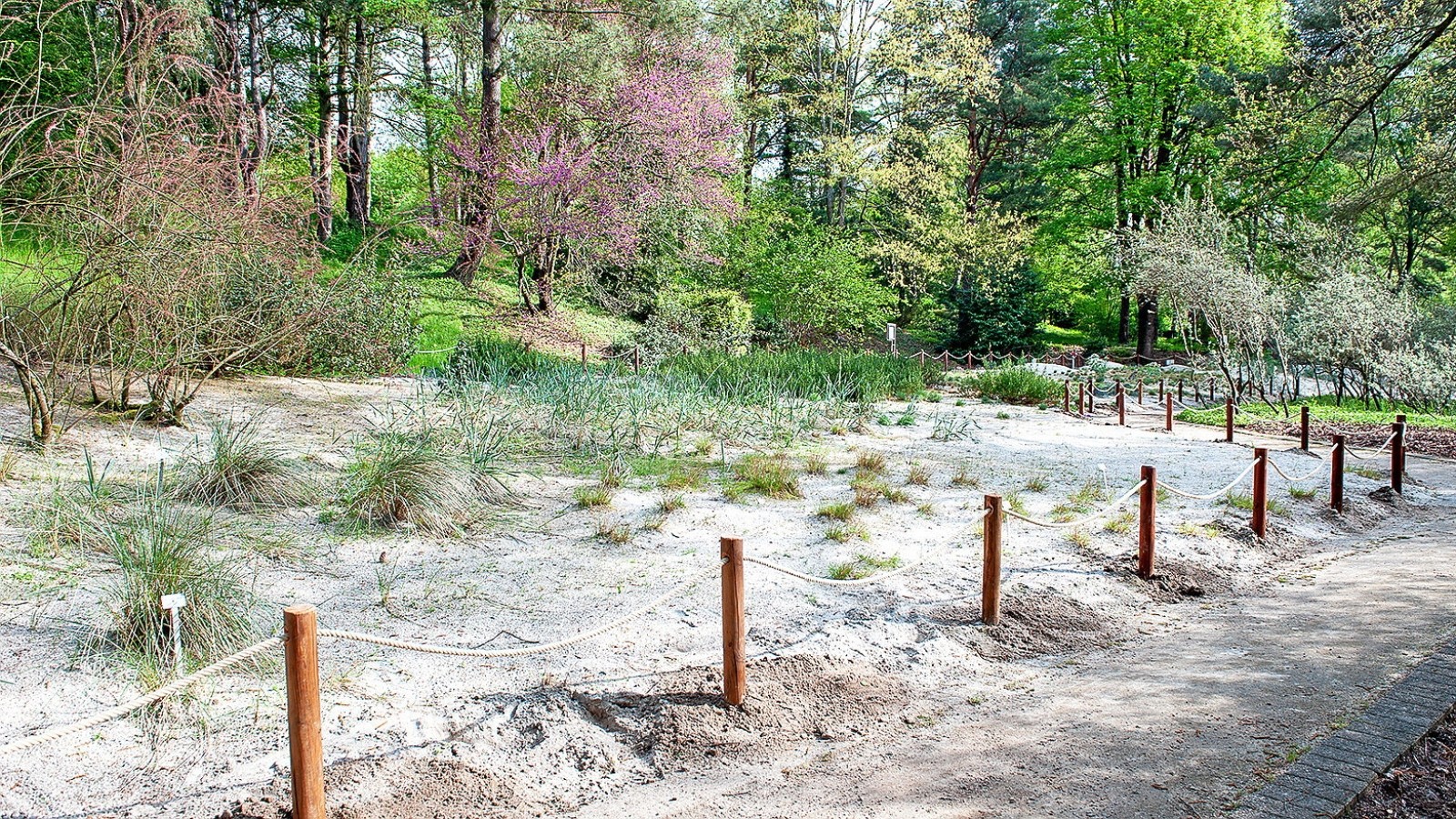 Bochum Viel Neues im Botanischen Garten der RuhrUni