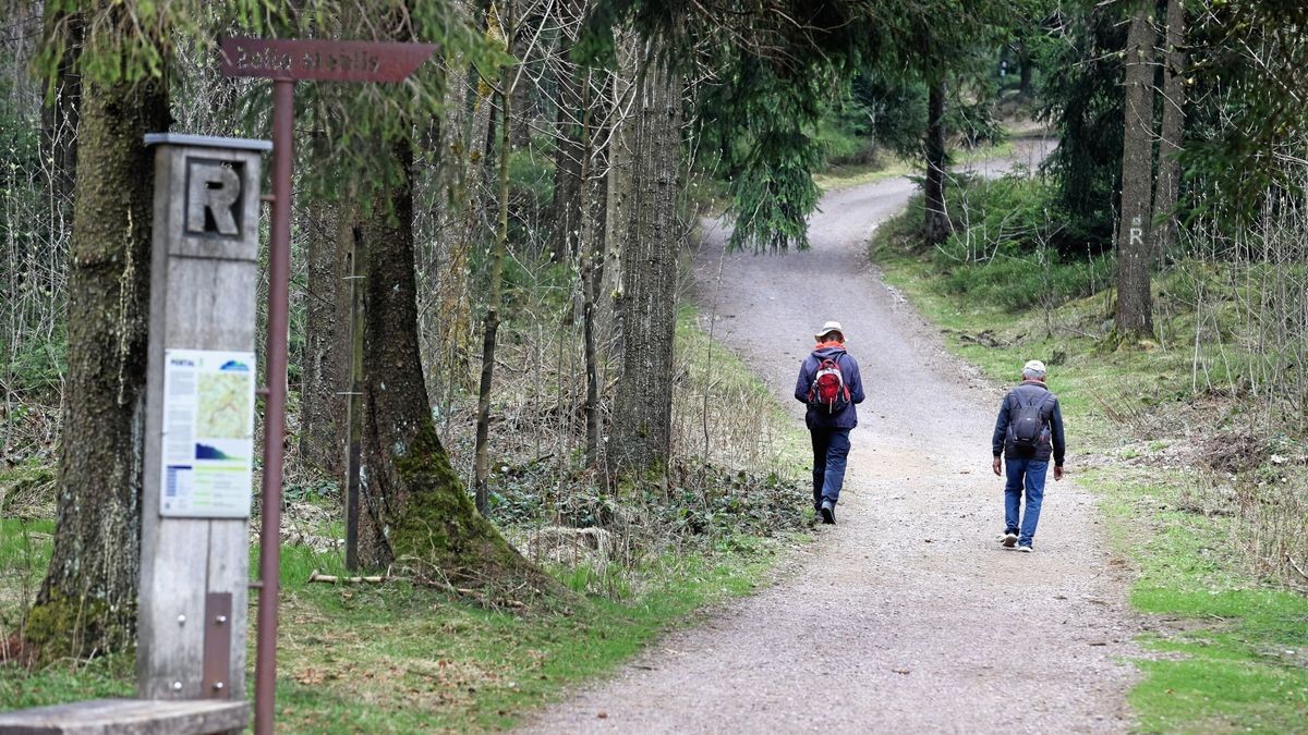 Zahlreiche Tipps für den Rennsteig sind nun digital abrufbar. Foto: 