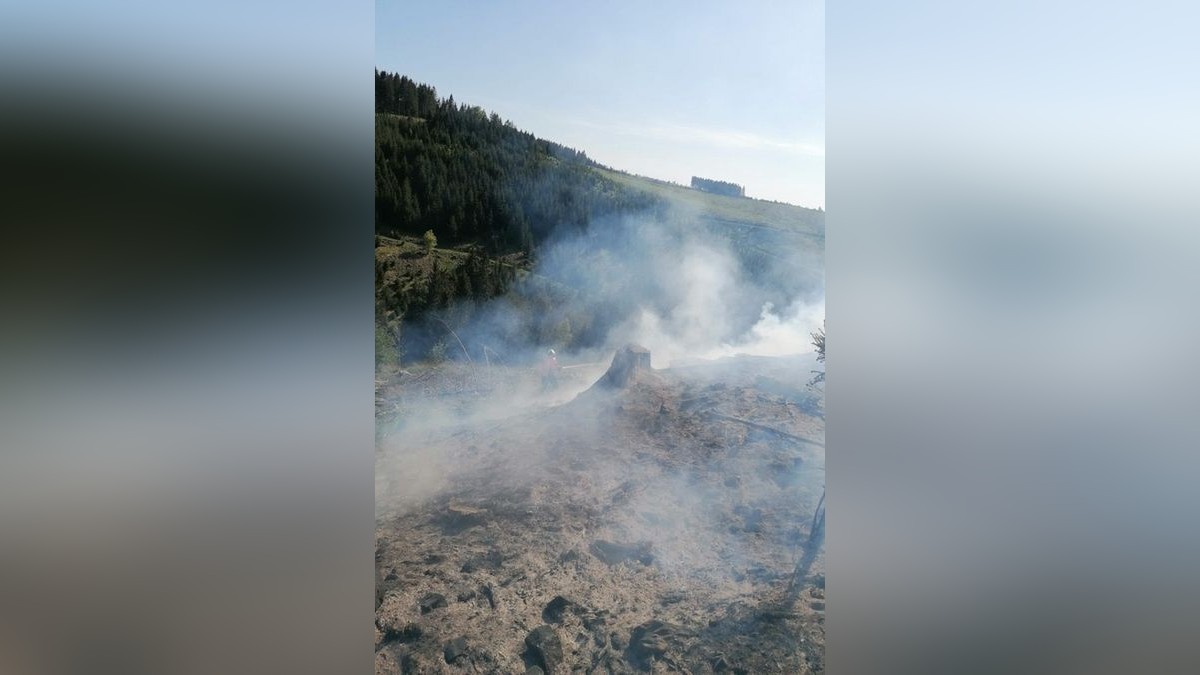 Zu einem Waldbrand wurden am Sonntag die Einsatzkräfte der Feuerwehren Niedersachswerfen , Ilfeld/Wiegersdorf sowie Neustadt/Osterode alarmiert.