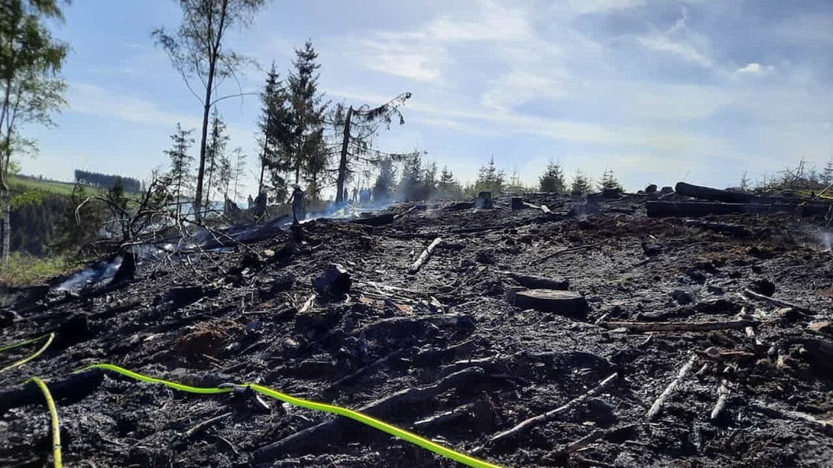 Zu einem Waldbrand wurden am Sonntag die Einsatzkräfte der Feuerwehren Niedersachswerfen , Ilfeld/Wiegersdorf sowie Neustadt/Osterode alarmiert.