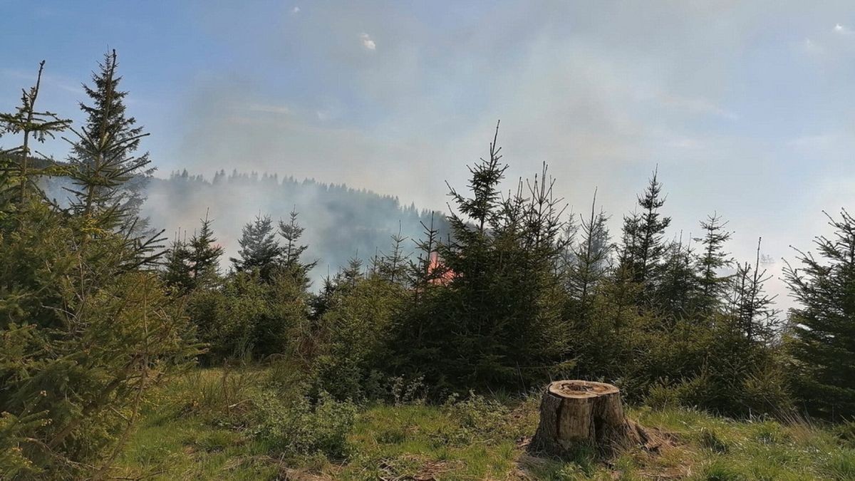 Zu einem Waldbrand wurden am Sonntag die Einsatzkräfte der Feuerwehren Niedersachswerfen , Ilfeld/Wiegersdorf sowie Neustadt/Osterode alarmiert.