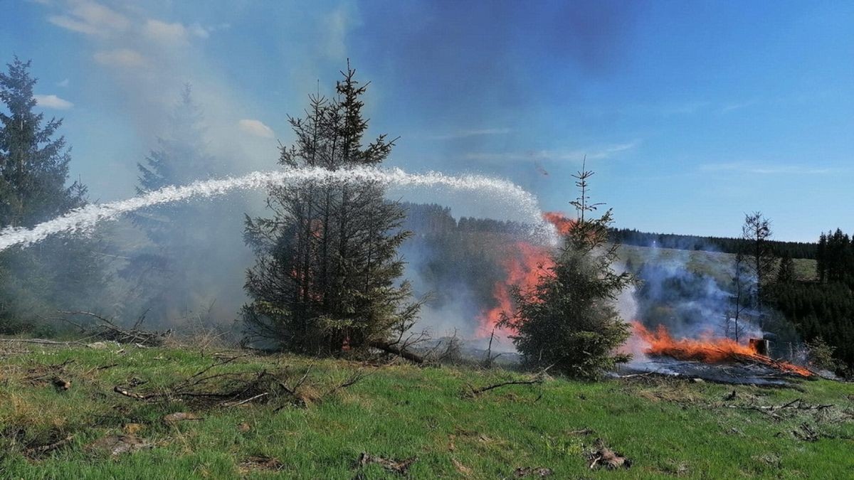 Zu einem Waldbrand wurden am Sonntag die Einsatzkräfte der Feuerwehren Niedersachswerfen , Ilfeld/Wiegersdorf sowie Neustadt/Osterode alarmiert.