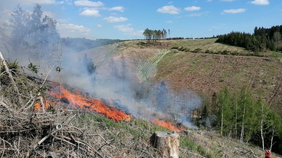 Zu einem Waldbrand wurden am Sonntag die Einsatzkräfte der Feuerwehren Niedersachswerfen , Ilfeld/Wiegersdorf sowie Neustadt/Osterode alarmiert.