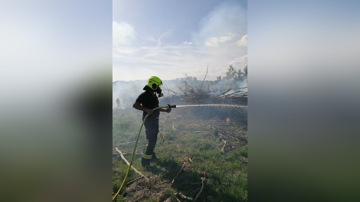 Zu einem Waldbrand wurden am Sonntag die Einsatzkräfte der Feuerwehren Niedersachswerfen , Ilfeld/Wiegersdorf sowie Neustadt/Osterode alarmiert.