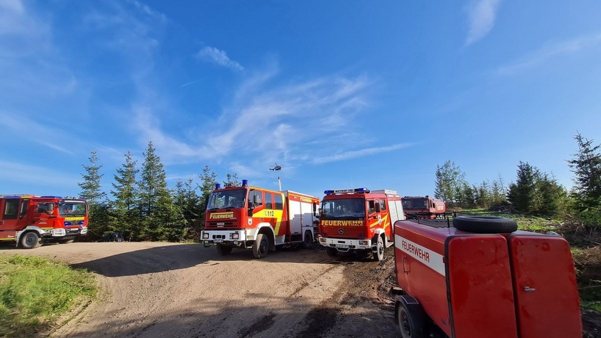 Zu einem Waldbrand wurden am Sonntag die Einsatzkräfte der Feuerwehren Niedersachswerfen , Ilfeld/Wiegersdorf sowie Neustadt/Osterode alarmiert.