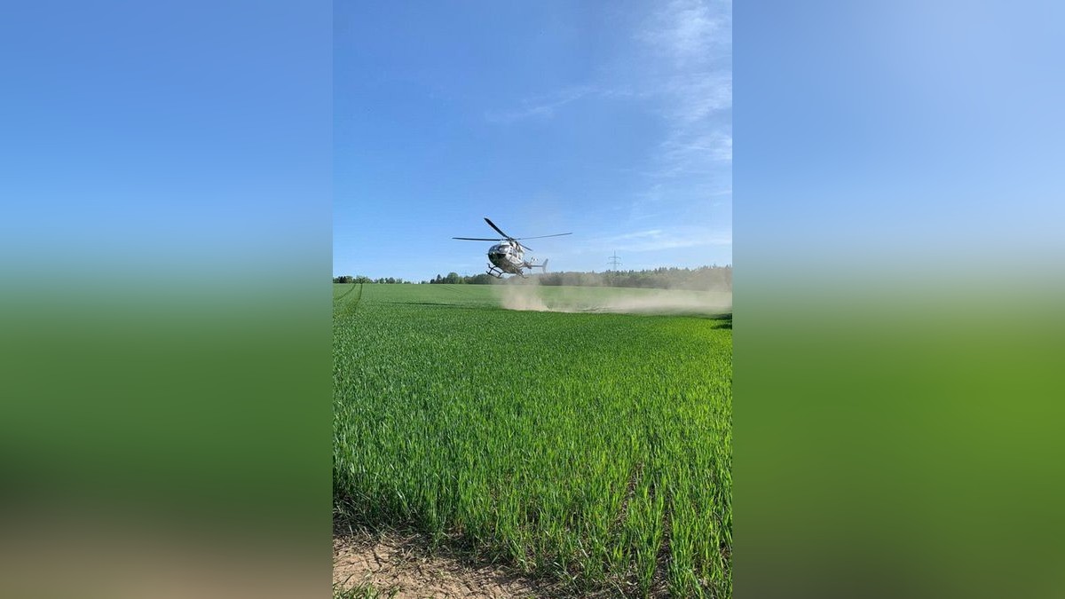 Zu einem Waldbrand wurden am Sonntag die Einsatzkräfte der Feuerwehren Niedersachswerfen , Ilfeld/Wiegersdorf sowie Neustadt/Osterode alarmiert.