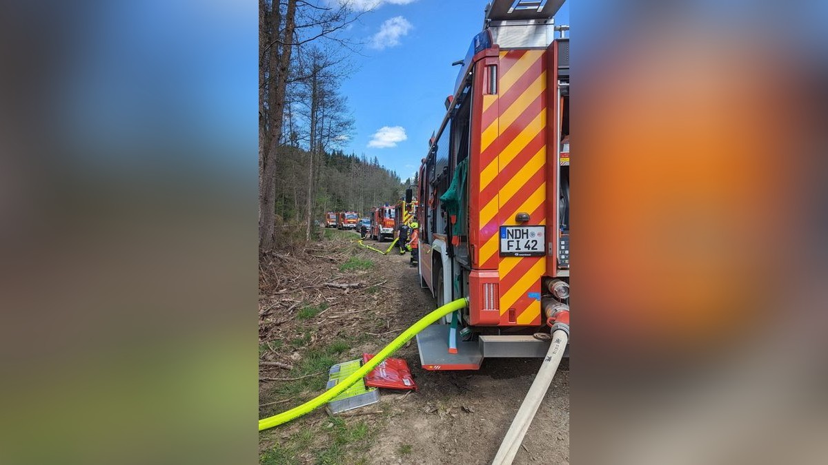 Zu einem Waldbrand wurden am Sonntag die Einsatzkräfte der Feuerwehren Niedersachswerfen , Ilfeld/Wiegersdorf sowie Neustadt/Osterode alarmiert.