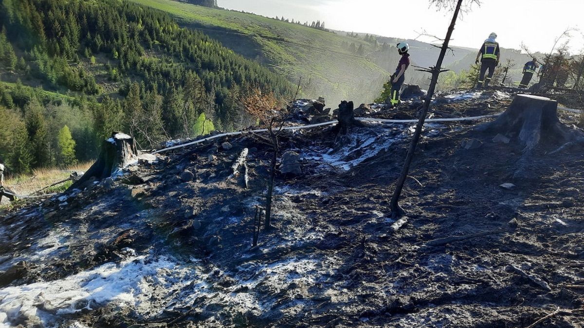 Zu einem Waldbrand wurden am Sonntag die Einsatzkräfte der Feuerwehren Niedersachswerfen , Ilfeld/Wiegersdorf sowie Neustadt/Osterode alarmiert.