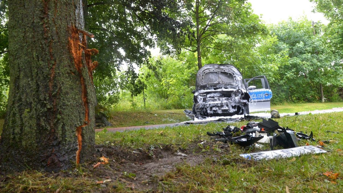 Die Feuerwehren aus Worbis, Wintzingerode und Kirchohmfeld waren im Einsatz, der Polizist wurde leicht verletzt.