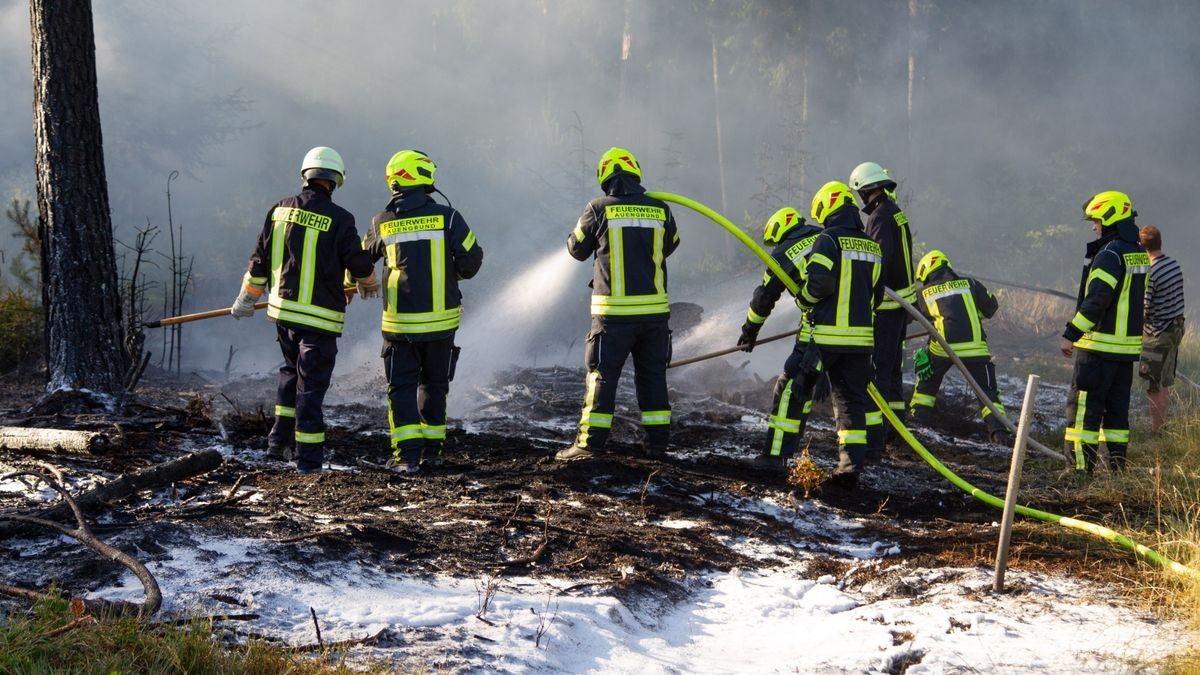 Die Flammen waren am Dienstag schon bis in die Baumkronen fortgeschritten.