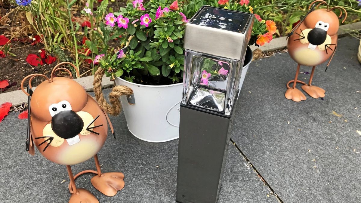 Solarlampen sorgen im Garten für romantisches Licht und sparen dabei Strom aus der Steckdose.