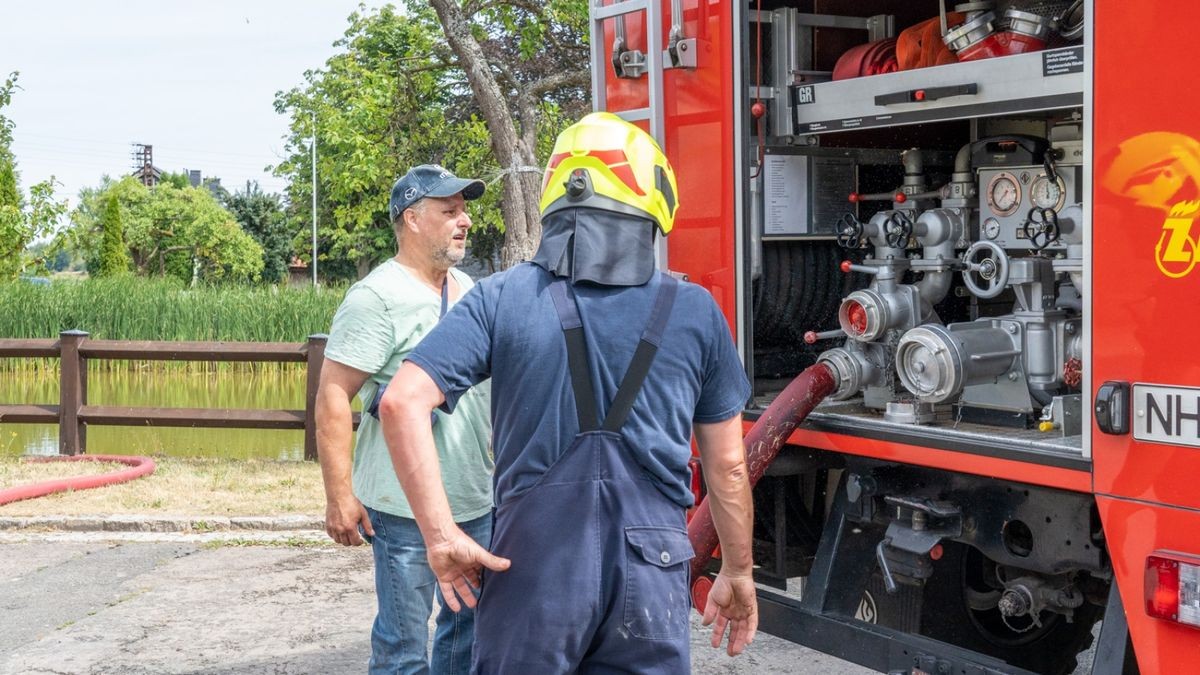 Ein Brand auf einer Fläche von mehr als 30 Hektar hat am Montag rund 80 Einsatzkräfte von 16 Feuerwehren bei Jehmichen südlich von Saalfeld in Atem gehalten. 