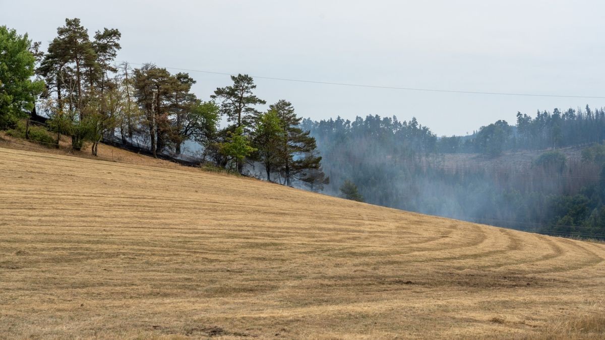 Ein Brand auf einer Fläche von mehr als 30 Hektar hat am Montag rund 80 Einsatzkräfte von 16 Feuerwehren bei Jehmichen südlich von Saalfeld in Atem gehalten. 