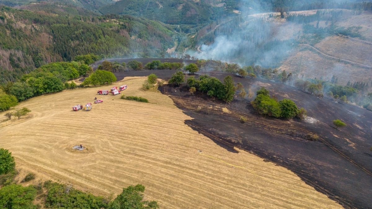 Ein Brand auf einer Fläche von mehr als 30 Hektar hat am Montag rund 80 Einsatzkräfte von 16 Feuerwehren bei Jehmichen südlich von Saalfeld in Atem gehalten. 