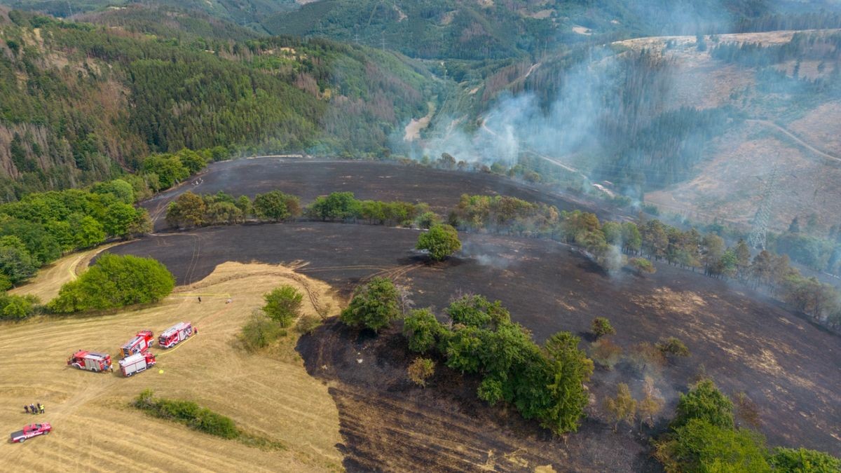 Der Wind trieb die Flammen immer weiter in Richtung Süd-Westen voran.