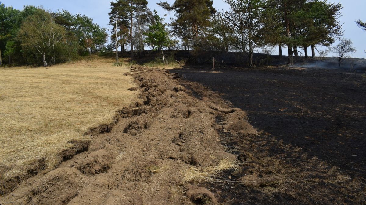 Ein Brand auf einer Fläche von mehr als 30 Hektar hat am Montag rund 80 Einsatzkräfte von 16 Feuerwehren bei Jehmichen südlich von Saalfeld in Atem gehalten. 