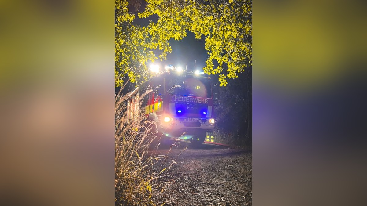 Gegen 2.15 Uhr konnte der Einsatz für die Feuerwehr beendet werden.