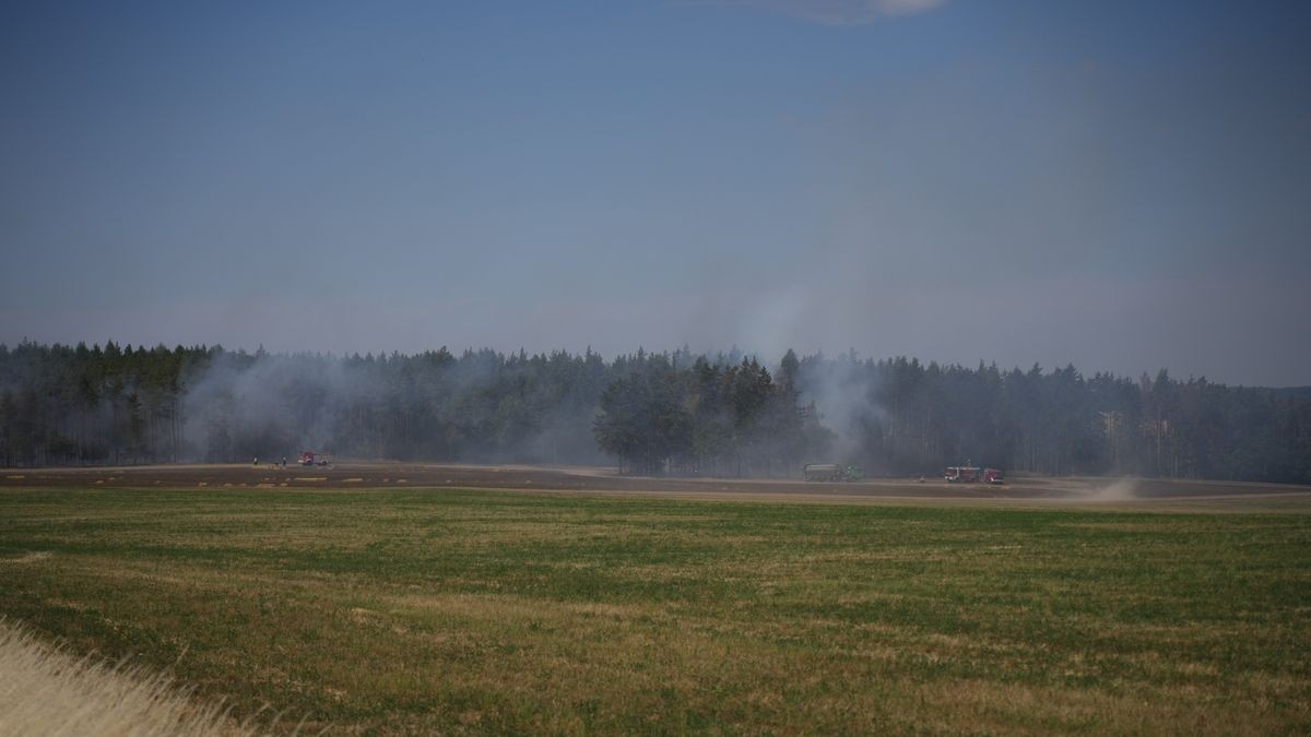 Mehrere Feuerwehren sind zurzeit im Landkreis Greiz im Einsatz. Dort brennen sowohl ein Wald als auch ein angrenzendes Feldstück.