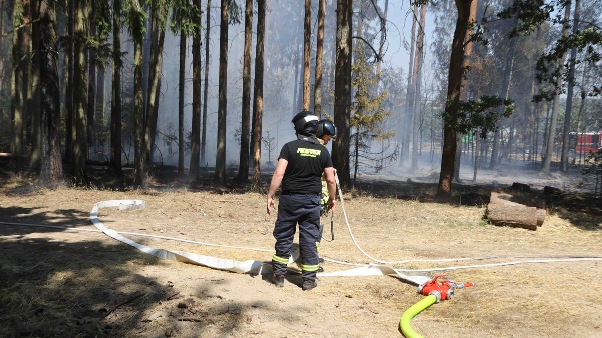 Mehrere Feuerwehren sind zurzeit im Landkreis Greiz im Einsatz. Dort brennen sowohl ein Wald als auch ein angrenzendes Feldstück.