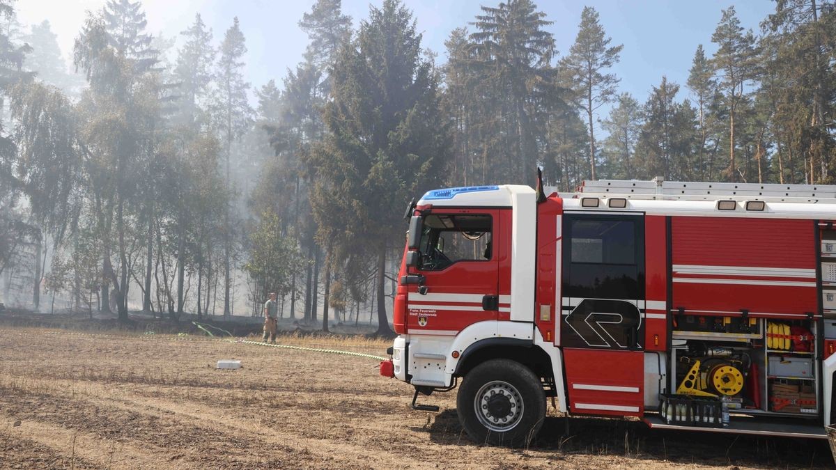 Mehrere Feuerwehren sind zurzeit im Landkreis Greiz im Einsatz. Dort brennen sowohl ein Wald als auch ein angrenzendes Feldstück.