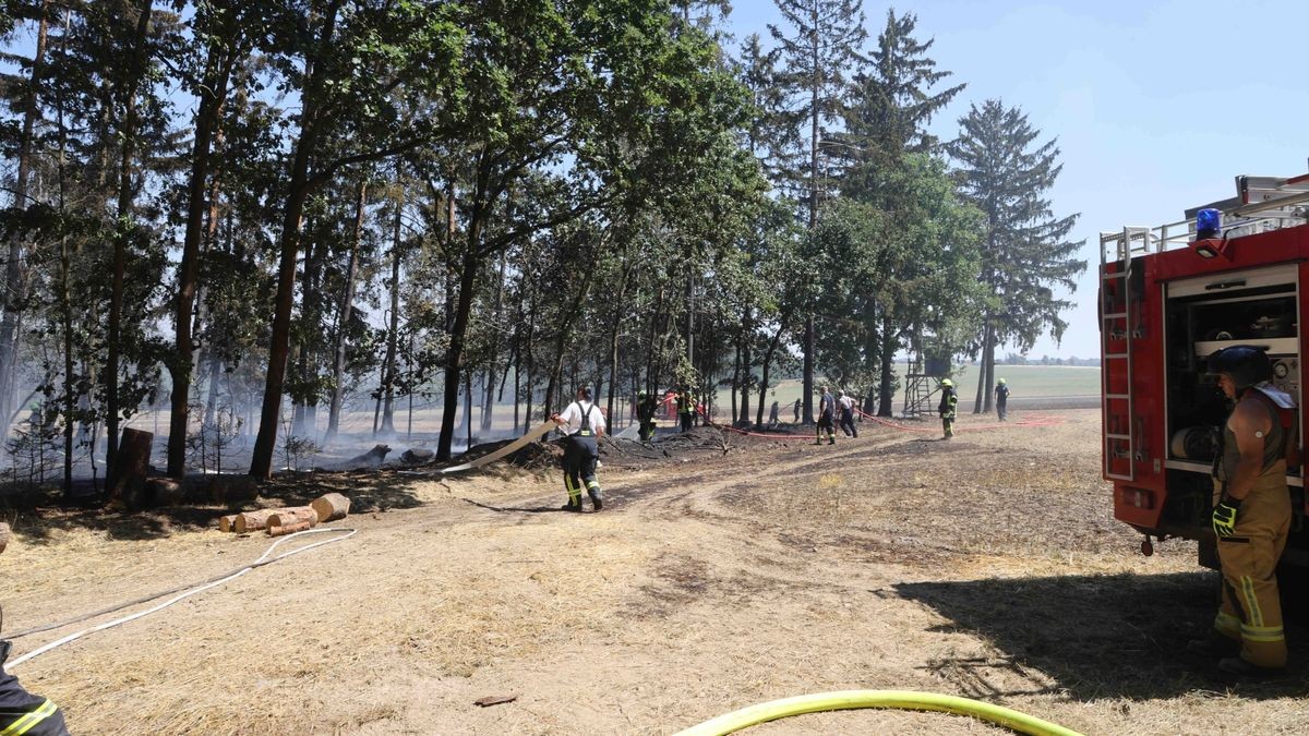 Mehrere Feuerwehren sind zurzeit im Landkreis Greiz im Einsatz. Dort brennen sowohl ein Wald als auch ein angrenzendes Feldstück.